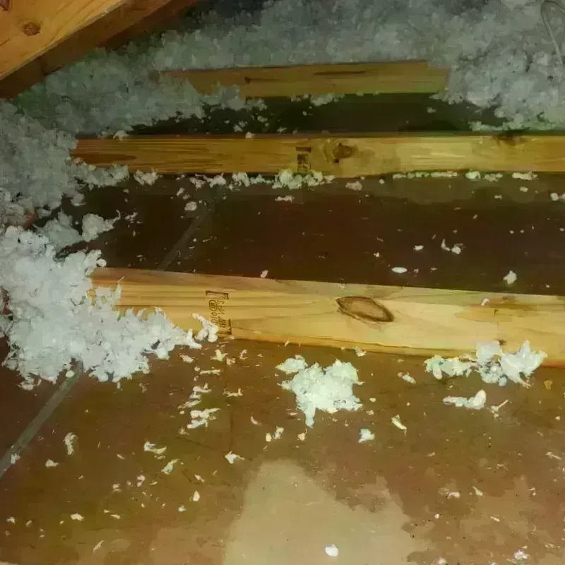 Attic Water Damage in Alturas, CA