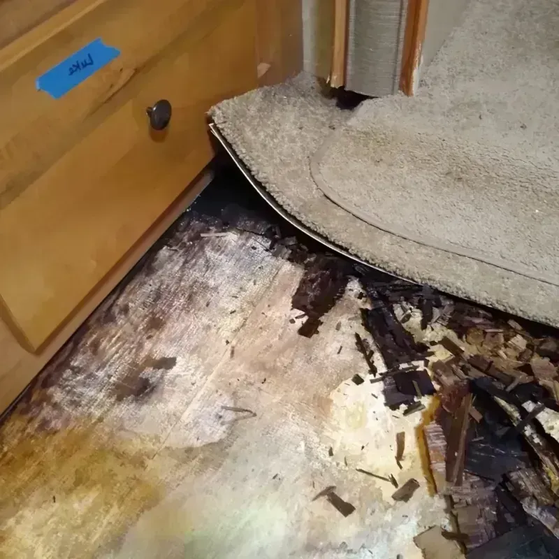 Wood Floor Water Damage in Alturas, CA